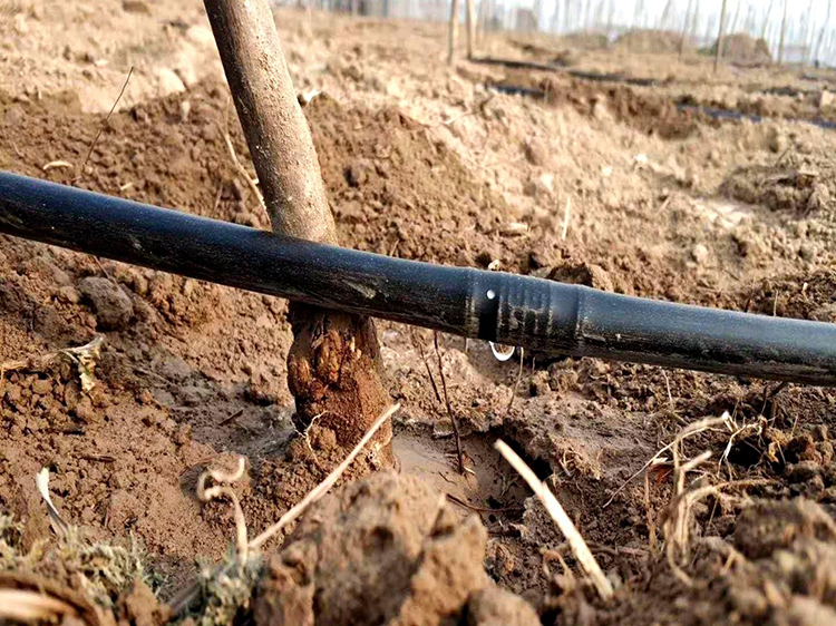 寧夏PE節水綠化灌溉管