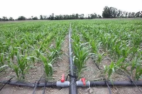 银川绿化灌溉管怎么选？