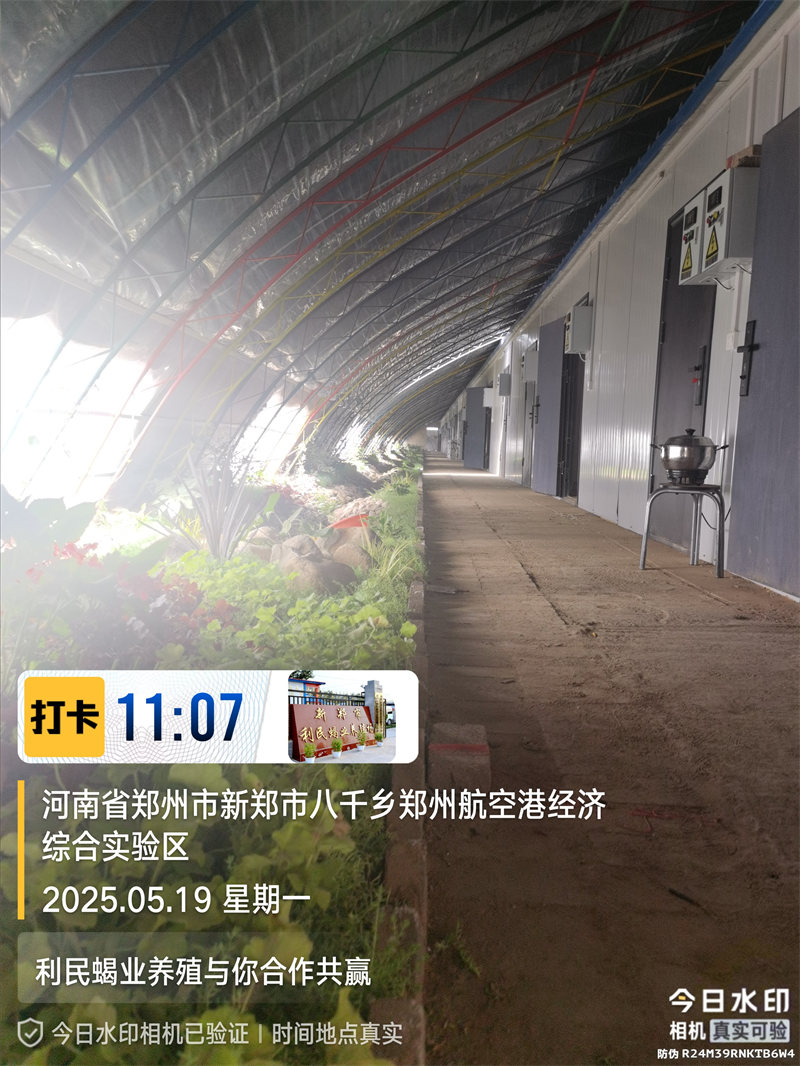 河南蝎子养殖