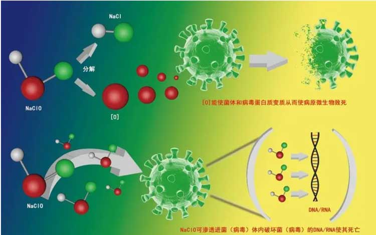 陕西杀菌剂市场价格波动分析：谁在主导？
