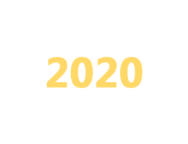 2020年延审工程造价主要业绩
