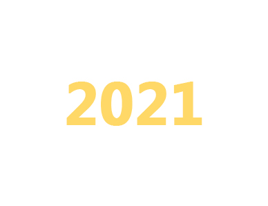 2021年延审工程造价主要业绩