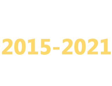 2015至2021年延审会计师事务所主要业绩
