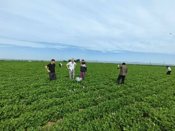 物测院“?辽宁九道岭煤业隐蔽致灾因素普查项目”?地面物探外业数据采集顺利完工