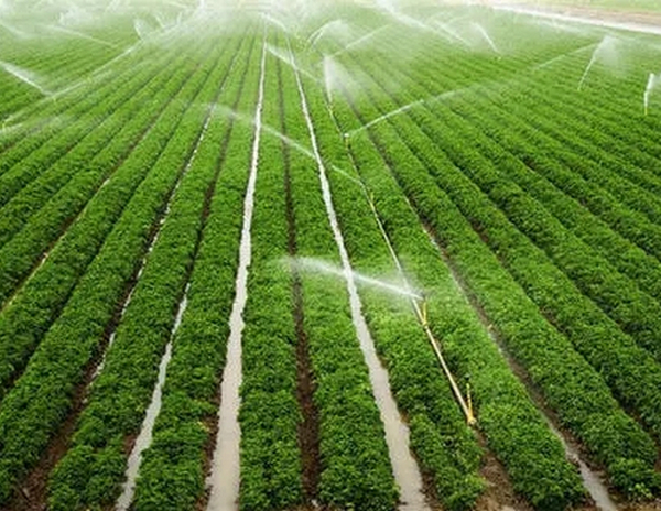 河南灌溉設備批發
