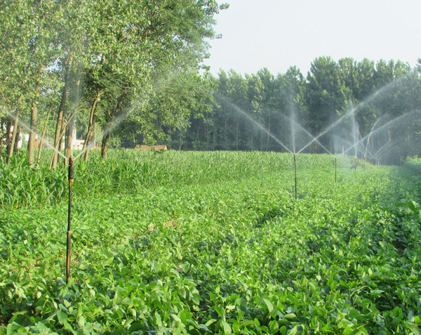 农业节水灌溉的三种主要模式