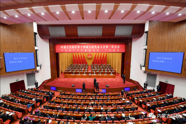 自治区十四届人大一次会议胜利闭幕 王进平代表踊跃建言尽职履责