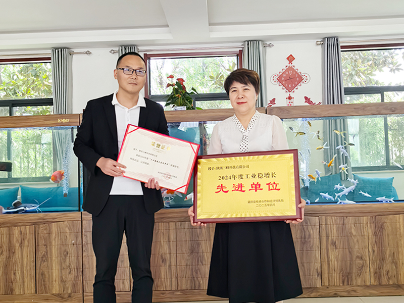 喜报丨热烈祝贺三峰包装荣获 2024 年度工业稳增长先进单位称号
