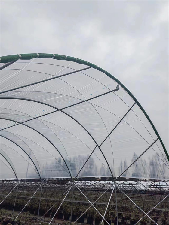 四川玻璃溫室建造
