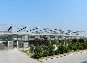 新型四川玻璃温室设计方案与应用探讨