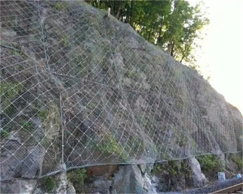 四川被动边坡防护网生产