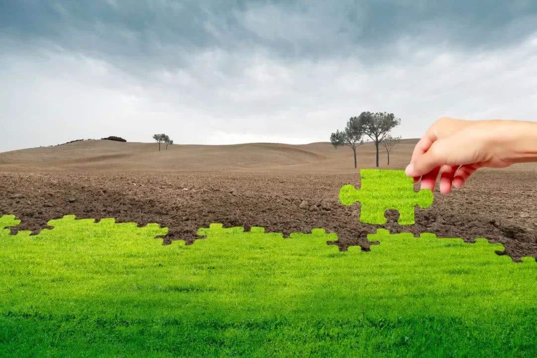 土壤污染怎么區分？