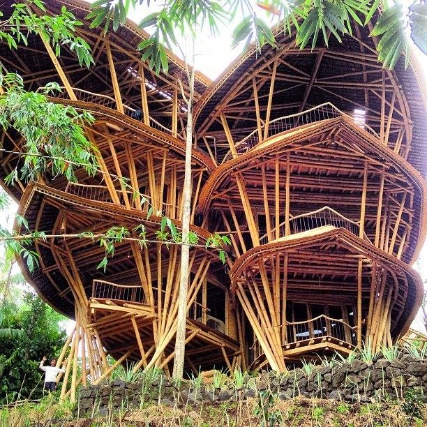 你不知道竹子造的房子多美？