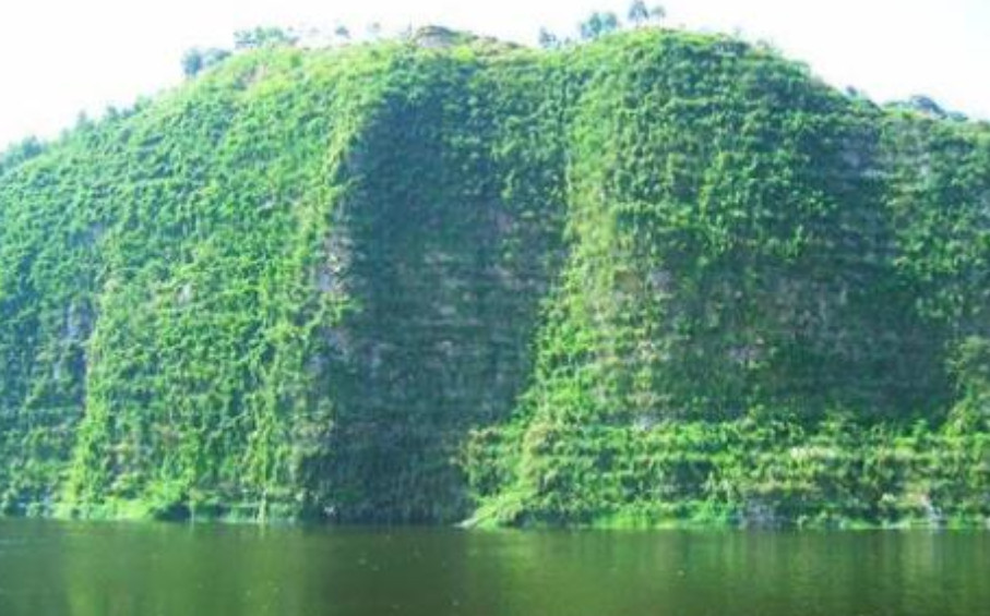 礦山生態(tài)治理勘查設(shè)計(jì)及施工