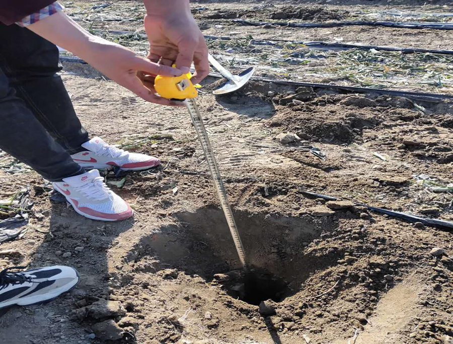 新疆农用耕地土壤检测
