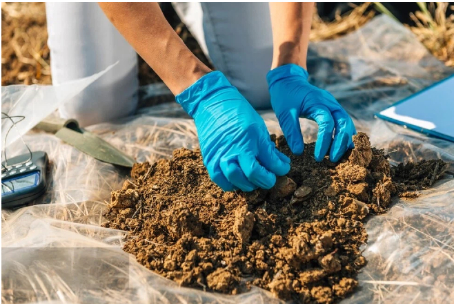 土壤污染状况调查