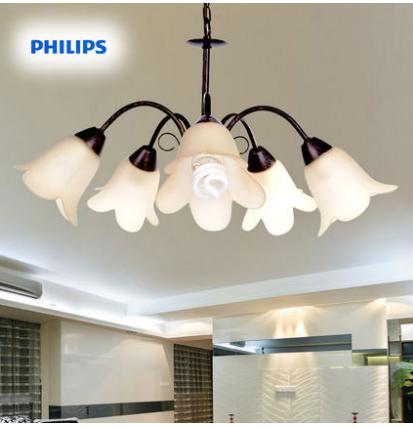 西安飛利浦照明價格