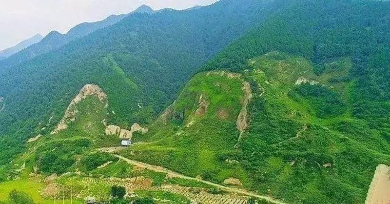 2020中國綠色礦山建設高峰論壇暨生態修複與儲備林項目研討會將於下月舉辦