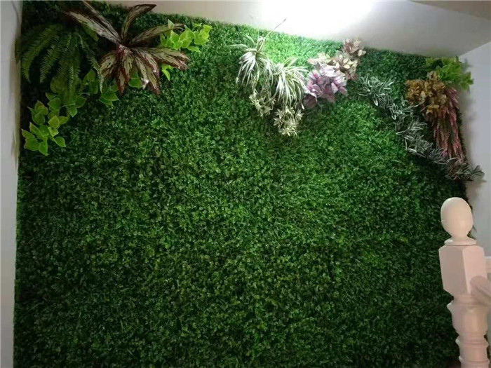 西安室内植物墙