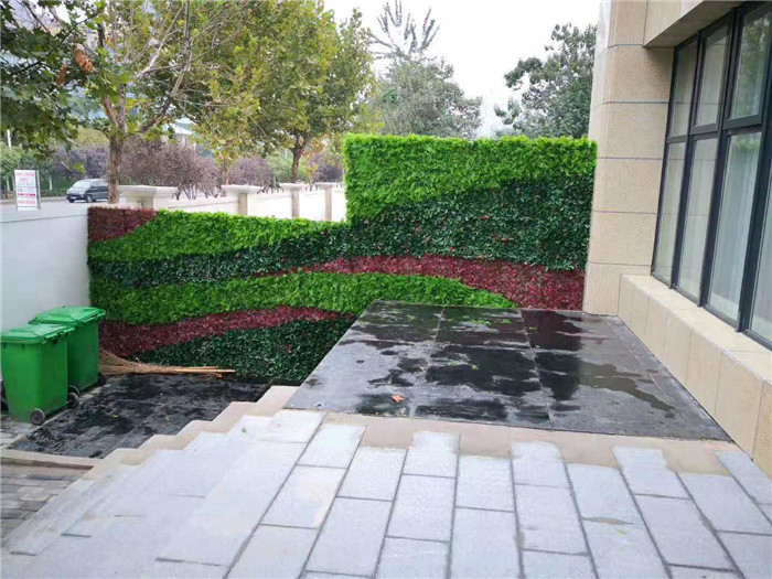 陕西植物墙