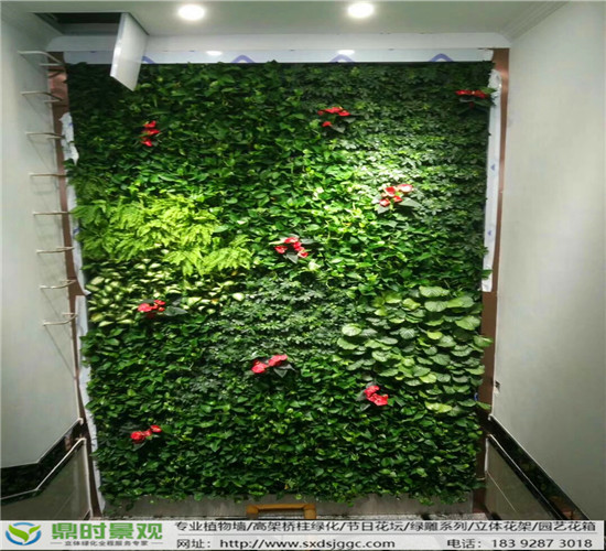 室内生态植物墙