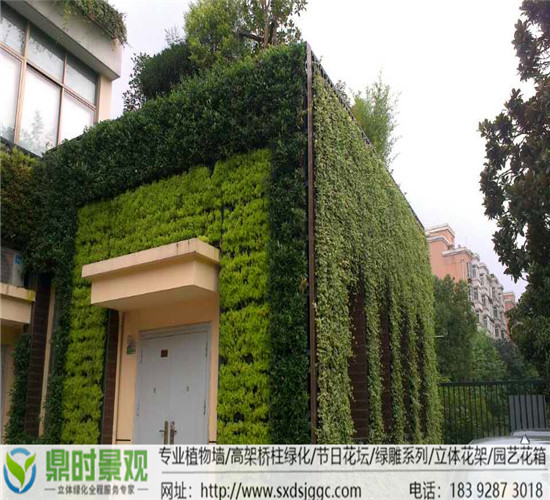 室外生态植物墙