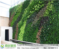 陕西植物墙优势