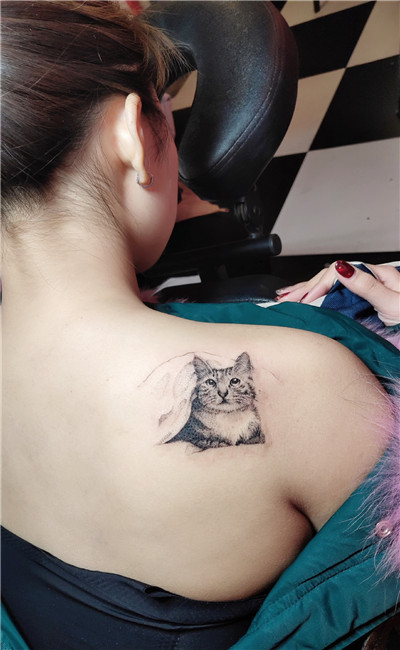 武汉原创纹身-不一样的猫