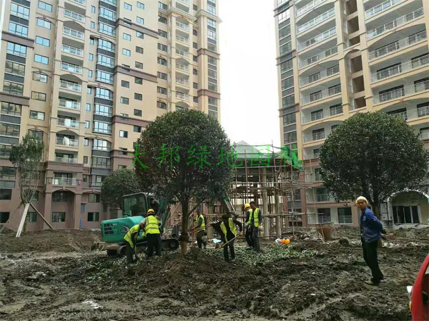 四川园林绿化工程施工团队