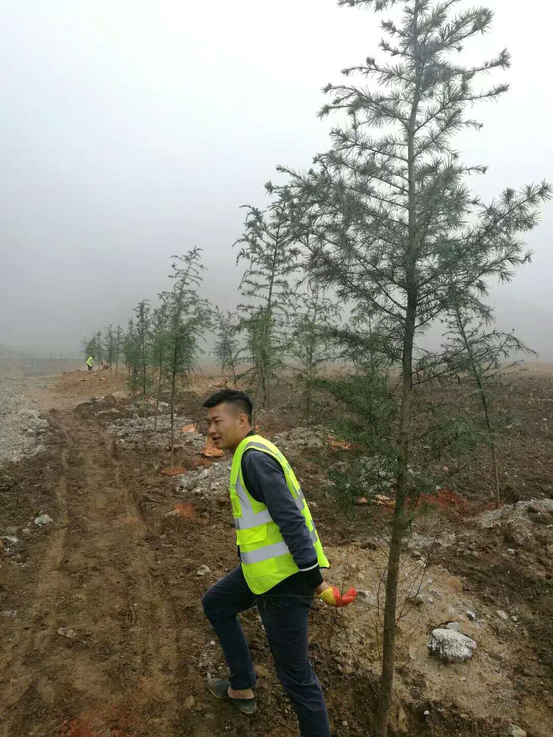 江铜集团冕宁牦牛坪矿区生态恢复工程
