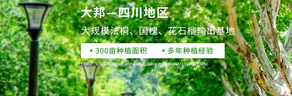 四川园林绿化工程
