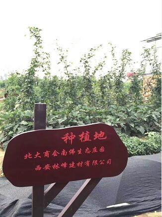 西安防腐木-指示牌