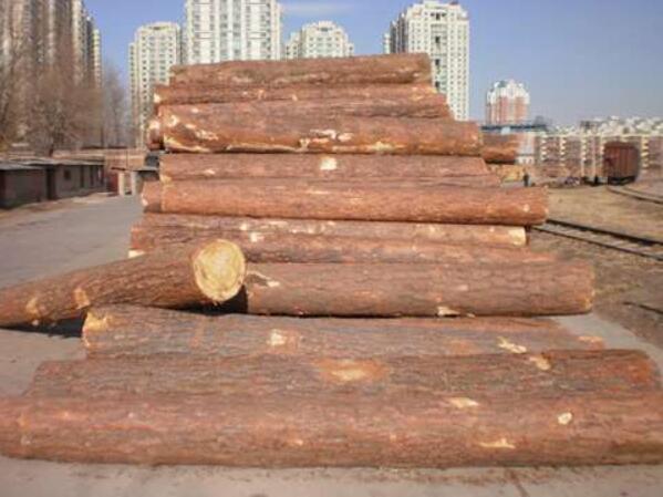 西安防腐木在生活中有哪些用途