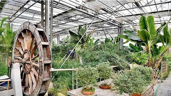 呼和浩特市赛罕区都市现代农业园区。陈立庚 摄