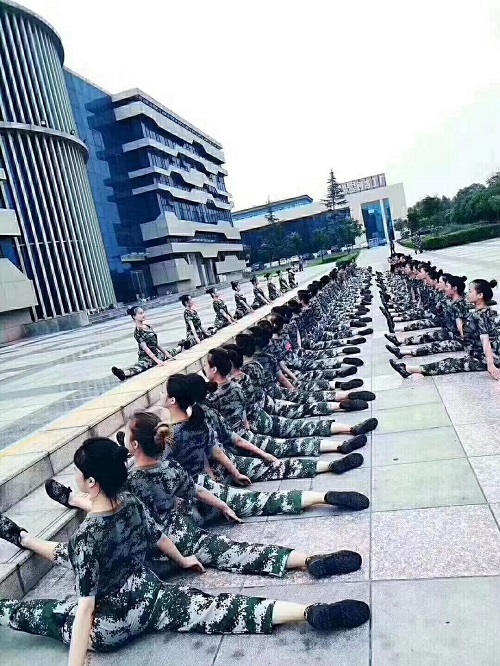 舞蹈教育培训