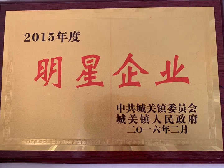 湖北滌綸紗線廠家榮獲明星企業殊榮