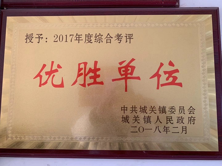 湖北滌綸紗線廠家榮獲優勝企業稱號