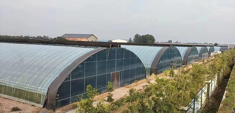 陕西温室-新型大跨度保温拱棚