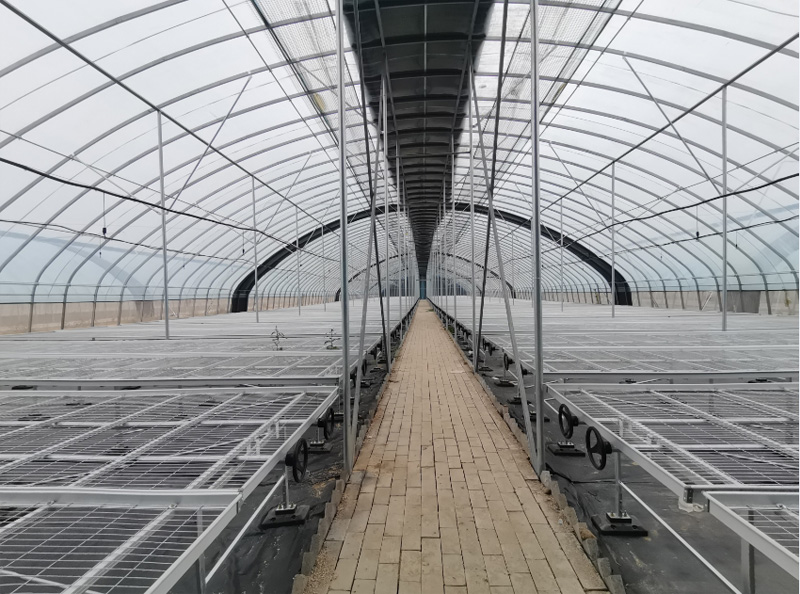 20米大跨度保温型拱棚，配备育苗移动苗床