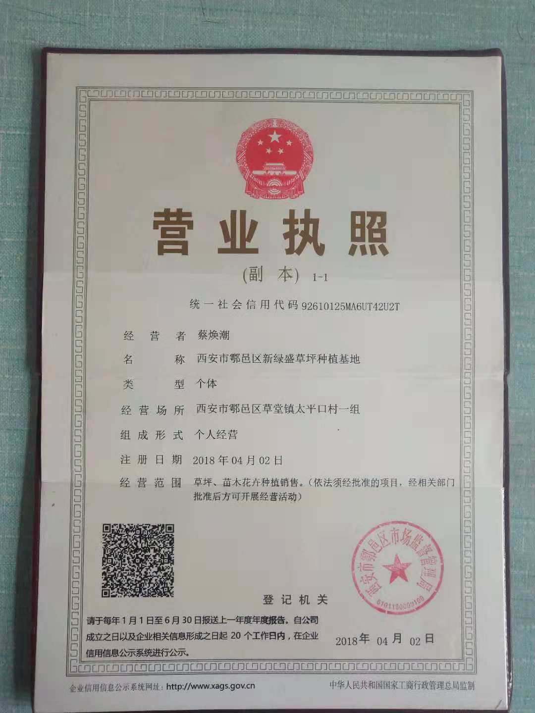 西安百慕大草坪