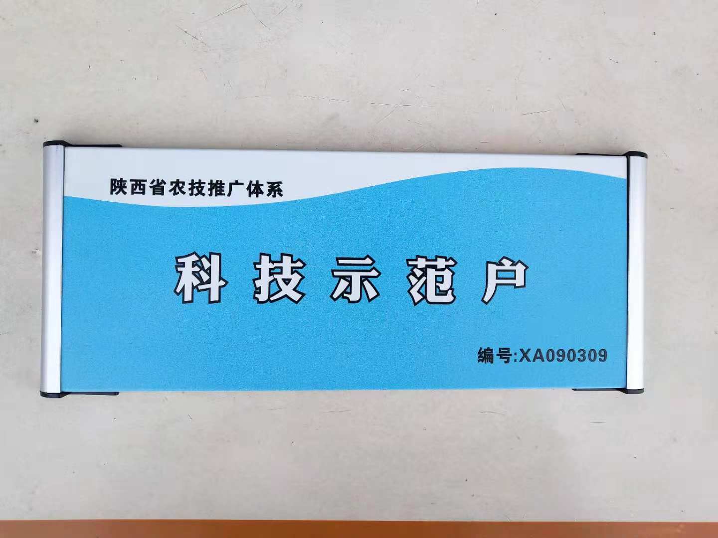 西安百慕大草坪