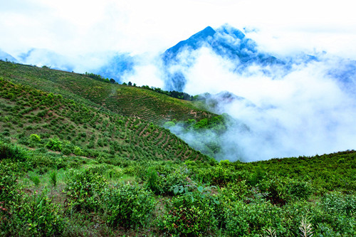 山阳天竺翠峰