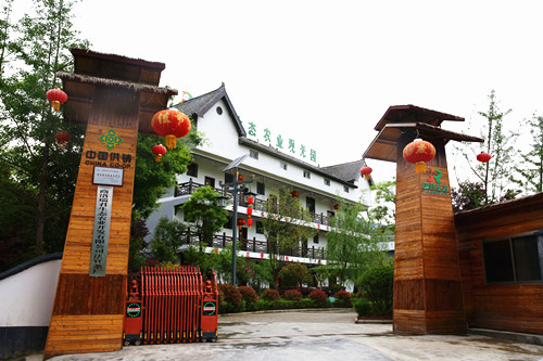 陕南绿茶