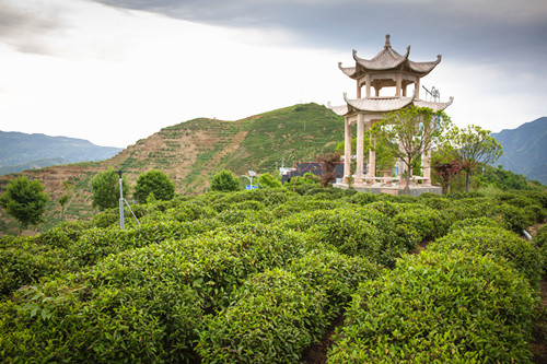 山阳天竺翠峰