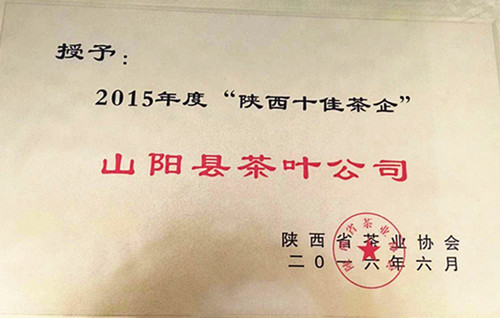 山阳绿茶 