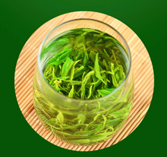 山阳绿茶 山阳绿茶