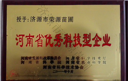 河南科技型企业