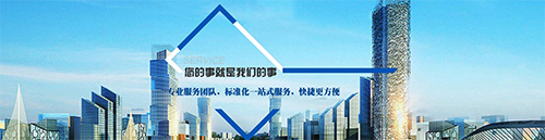 西安政府采购服务