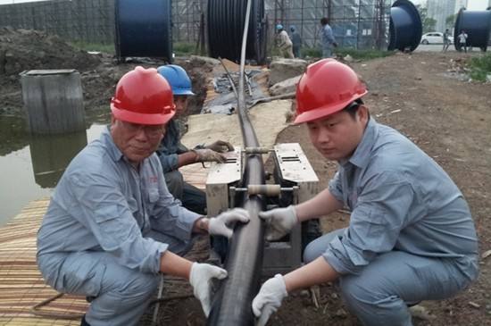 蔺郎**材料