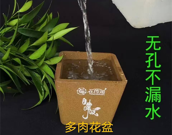 多肉花盆